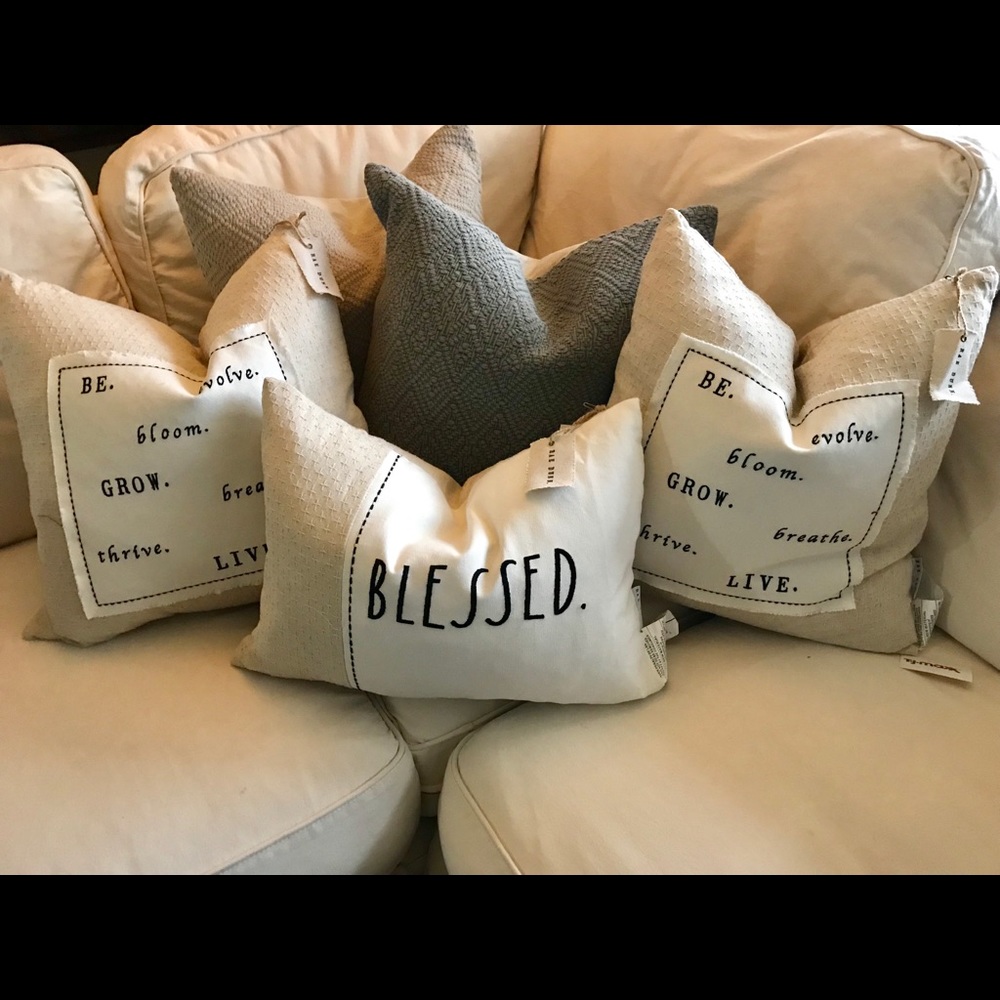 Set of 3 Rae Dunn Pillows